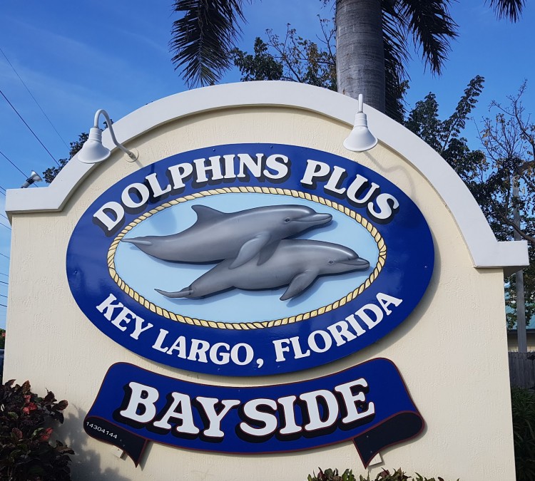 Dolphins Plus Bayside (Key&nbspLargo,&nbspFL)